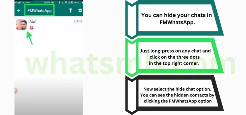 FM Whatsapp hide chats