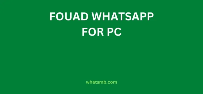 How to Use Fouad WhatsApp on PC (Windows/Mac)
