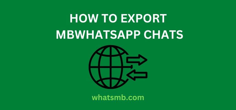 How to Export MBWhatsapp Chats?